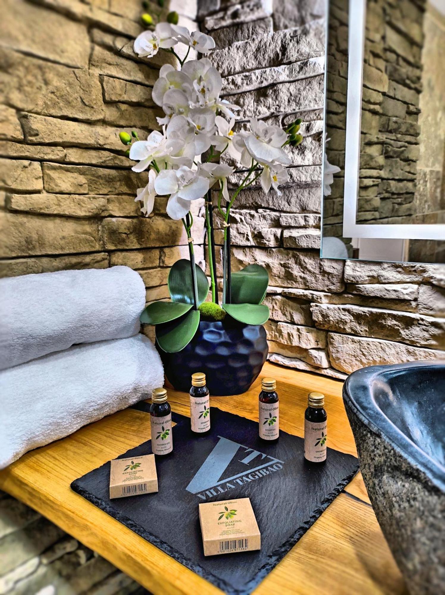 Villa Tagibao Avec Piscine Chauffee Et Spa Lesterps Luaran gambar